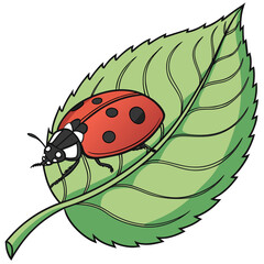 Red ladybug with black spots on a green leaf