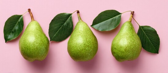 Three green pears with leaves, evenly spaced, on a pink background