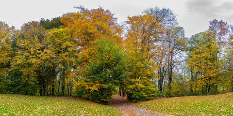 way through the autumnal forest, footpath between trees under beautiful colored canopy. trees and bushes stands in fairytale land. recreational walk to beautiful magical places flooded with light
