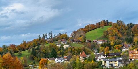 Built-up mountainside with houses, gardens and forests, autumnal colored under cloudy sky, steep meadow with single tree, village on hill, old and new house and autumn trees