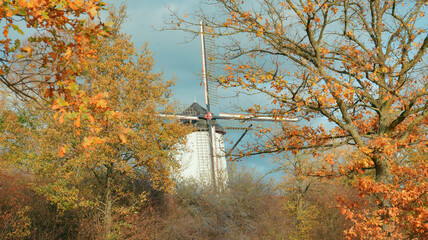 Traditional white windmill surrounded by colorful autumn trees and golden foliage in scenic countryside landscape under cloudy sky