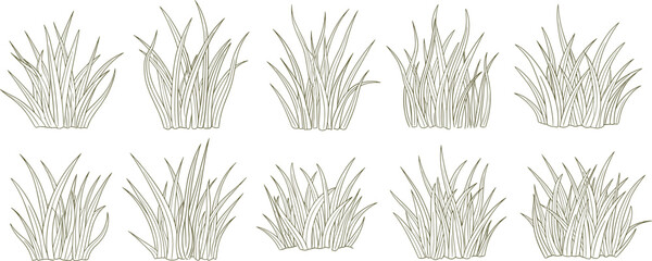 Hand-Drawn Grass Tuft Vector Set: Botanical Sketch of Turf, Lawn, and Herbaceous Plants for Nature, Garden, Landscaping, Outdoor, and Seamless Design Elements.