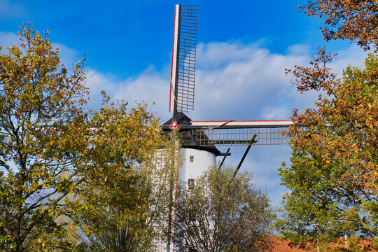 Traditional white windmill surrounded by colorful autumn trees and golden foliage in scenic countryside landscape under cloudy sky - Powered by Adobe