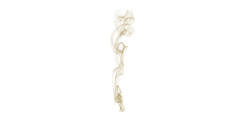 Fototapeta premium Golden Tendrils of Light Abstract Smoke Art Elegant Stream Glowing Wisps Fluid Form Dynamic Movement Ethereal Design