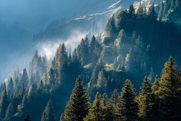 serene mountain scenery, morning mist over pine woods, gentle sunlight bathes rugged forest slopes