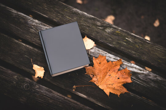 a book and autumn leaves in the park - Powered by Adobe