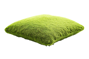 Bright green cushion moss isolated on a transparent background with soft natural shadows 