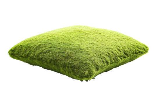 Bright green cushion moss isolated on a transparent background with soft natural shadows 