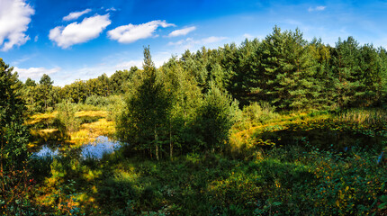 Moorlandschaft im Naturpark Steinhuder Meer, Niedersachsen