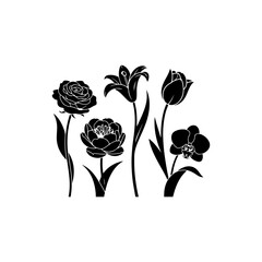 bundle of 5 elegant flower silhouettes, black fill, vector