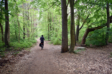 Radfahrerin im Nationalpark Jasmund auf Rügen 