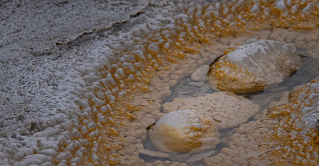 Water pool in geyserite formation, Yellowstone National Park