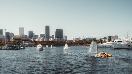 Small sailboats and yachts sailing near a modern city marina with tall buildings, palm trees, and calm blue water under clear sky on a sunny day, urban waterfront scene
