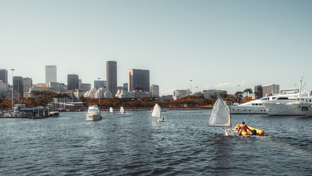 Small sailboats and yachts sailing near a modern city marina with tall buildings, palm trees, and calm blue water under clear sky on a sunny day, urban waterfront scene - Powered by Adobe