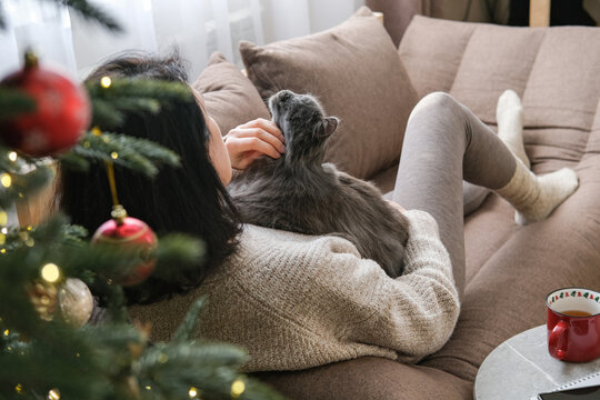 Woman is lying on sofa gently stroking grey cat with decorated Christmas tree in foreground. Bond between pet and owner during winter holidays, cozy Christmas atmosphere, happy moment at home