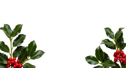 Two decorative clusters of green holly leaves with bright red berries, positioned in the lower corners against a transparent background