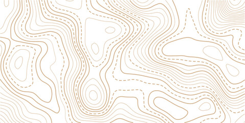 Fototapeta premium Abstract topo contour map on white background, Topographic map Topographic contour lines map seamless pattern.Topography background. Vector banner. Topo, 