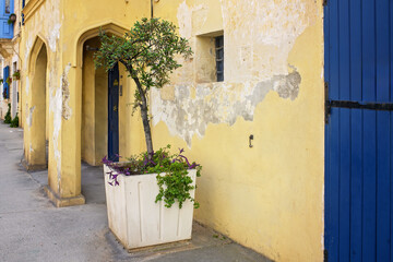 Sunny Mediterranean street with a yellow wall with peeling plaster, blue doors, and a potted tree creating a cozy old-town atmosphere.