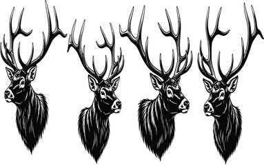 Four elegant deer heads, each with unique antlers, are depicted in a monochrome illustration, showcasing the beauty of nature