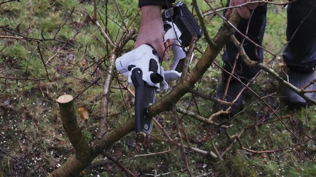 Man trims tree branches with cordless chain saw for pruning trees, right view. High quality 4k footage