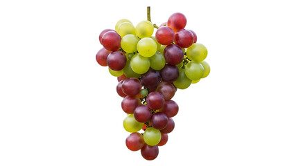 Bunch of red and green grapes, a stem hanging down fruit red grapes, isolated on white or transparent background, AI