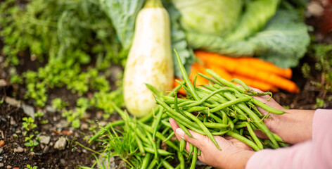 Person holding fresh green beans in garden with other vegetables in background