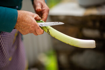 Peeling fresh leek after harvest for cooking preparation