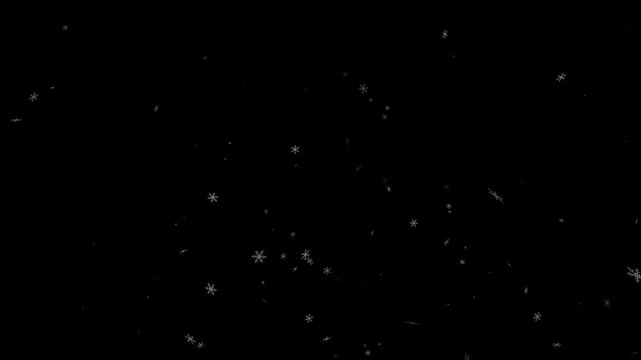 Snow Falling Down Animation Black Background with alpha channel. isolated snow Overly.