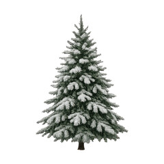 Fototapeta premium PNG Snow-covered evergreen tree illustration.