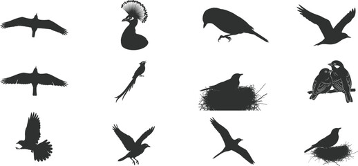 Collection of diverse bird silhouettes in flight and perched against a white background