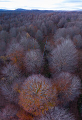 Aerial view from a drone of the 