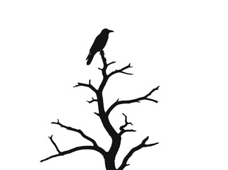 Silhouette of a solitary crow perched atop a bare skeletal tree against a stark white background
