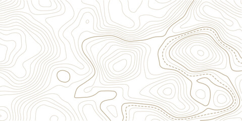 Abstract Topographic Pattern contour line map. Luxury gold abstract line art on transparent background image.Topography background. Vector banner. Topo.