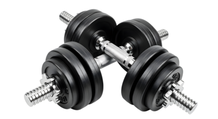 Two adjustable dumbbells with chrome handles and black weight plates