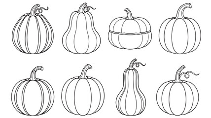 a collection of hand drawn pumpkins in various shapes and sizes perfect for autumn designs on transparent background silhouette high quality professional detailed modern elegant stylish
