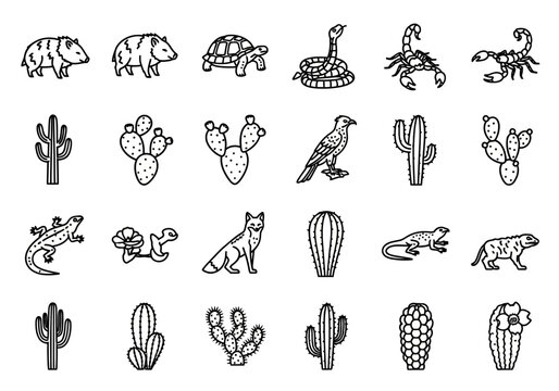 A comprehensive set of desert ecosystem line art icons featuring wildlife and various cacti. Monochrome vector symbols for nature and travel design concepts