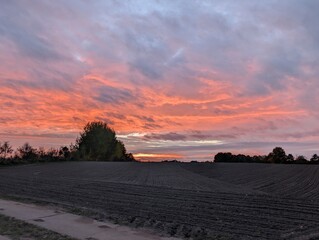 A vibrant sunset over a plowed field, painting the sky with fiery hues. A tree silhouetted against the colorful sky, showcasing the natural beauty