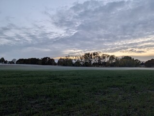 A tranquil scene of a foggy field with trees under a cloudy sky