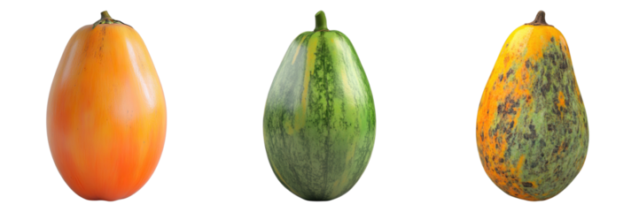 A trio of colorful fruits: orange tomato, striped melon, and yellow pear. Each fruit is displayed in vivid detail.