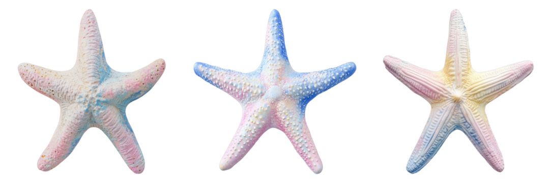 Three pastel-colored starfish arranged in a row. They exhibit delicate hues and intricate textures, evoking a sense of marine life - Powered by Adobe