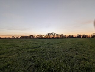 Fototapeta premium A serene landscape with a grassy field under a dusky sky at sunset, with a line of trees in the distance. The warm, inviting light creates a sense of peace