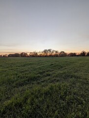 Fototapeta premium A serene sunset casts a warm glow over a vast green field with trees in the background