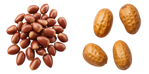A selection of Jujube fruit on display, offering a close-up view