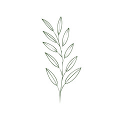 Naklejka premium Minimalist botanical line art illustration featuring an elegant green leafy branch design element