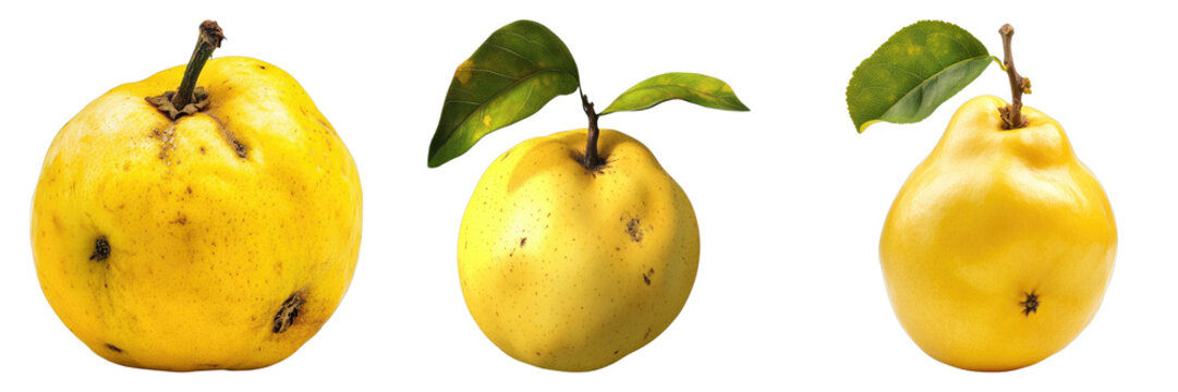 Three fresh yellow pears with green leaves. Each fruit is distinct, ripe and full of flavor. The images highlight the beauty of natural produce - Powered by Adobe