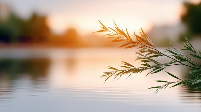 Sunset over calm water with reeds in the foreground showcasing tranquil nature scene