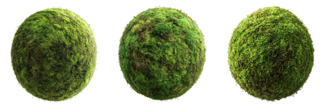 Three vibrant green moss balls, perfectly spherical in shape, creating a visually pleasing pattern