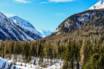 Pontresina  Val Roseg Val