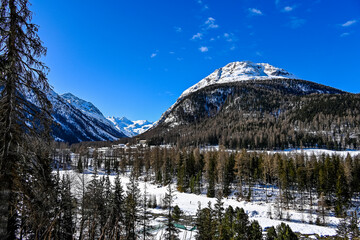 Pontresina Berninabach Val Bernina Dorf