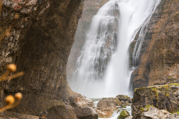 River in autumn fall forest with yellow trees and streaming water Ordesa national park Huesca Aragon Spain